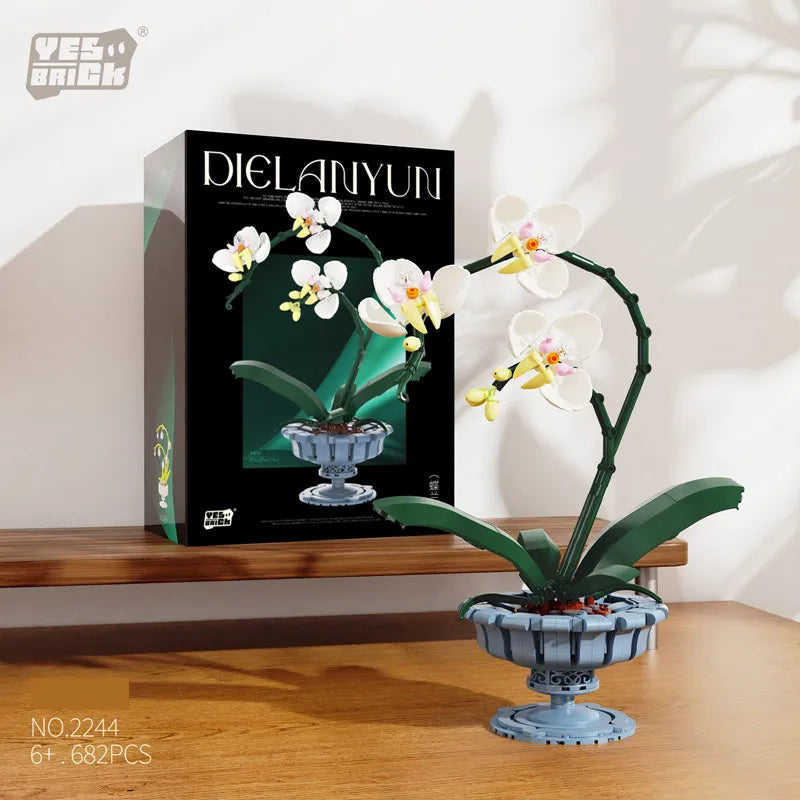 紫蘭盆栽