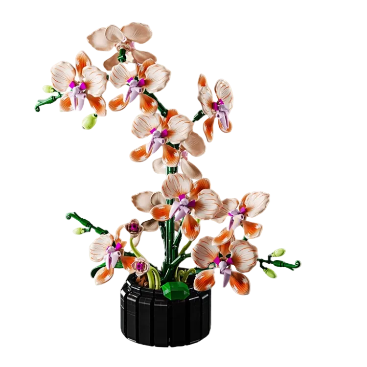 NO. 13111 | PHALAENOPSIS BOTANICAL ARCHIVE (866 PCS)