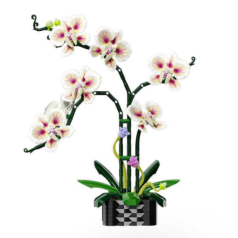 NO. 13113 | CYMBIDIUM BOTANICAL ARCHIVE (736 PCS)