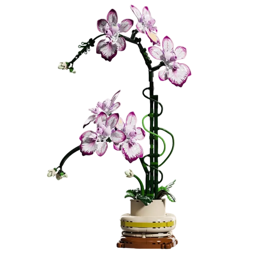 NO. 13114 | CYMBIDIUM BOTANICAL ARCHIVE (696 PCS)