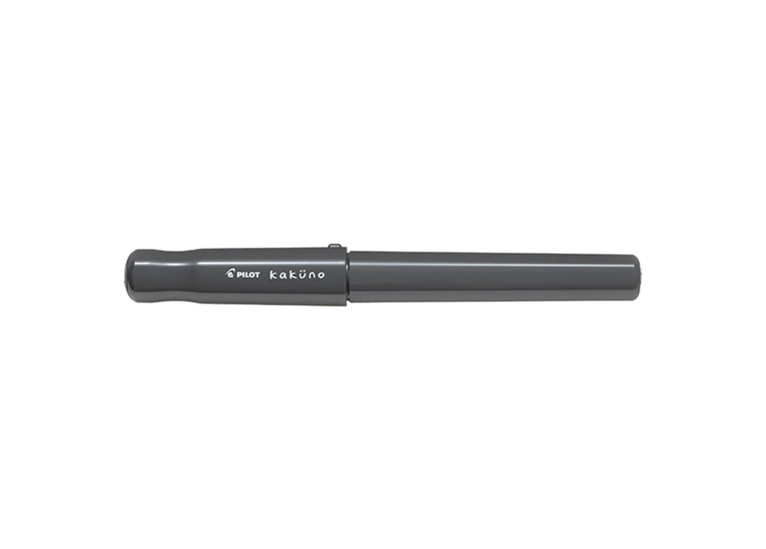 The Emotive Minimalist - Monochromatic Fountain Pen