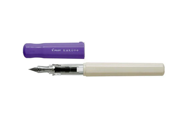 The Emotive Minimalist - Monochromatic Fountain Pen