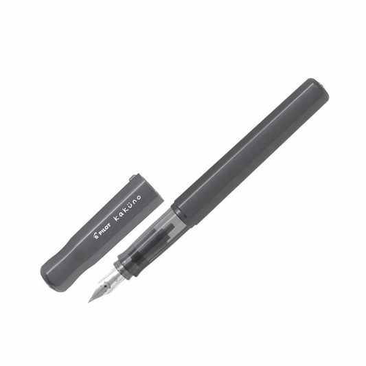 The Emotive Minimalist - Monochromatic Fountain Pen